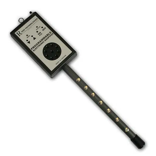 Digital bagpipes on sale